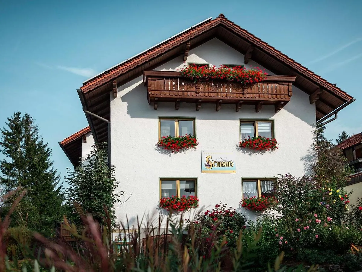 Ferienwohnungen Schmid Lam Apartment
